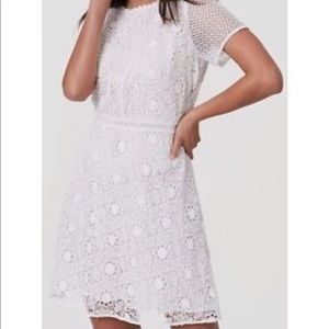 Loft Camellia Lace Dress
